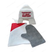 Комплект подарочный мужской 3 в 1: шапка+ коврик+ варежка